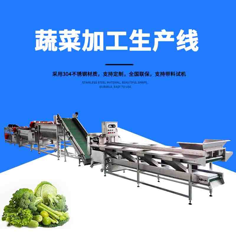 蔬菜清洗加工生产线